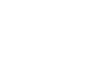 logo white